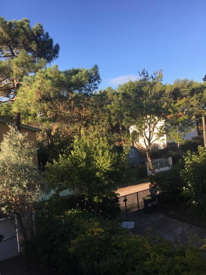 Villa L'Amiraute Agde Eksteriør bilde